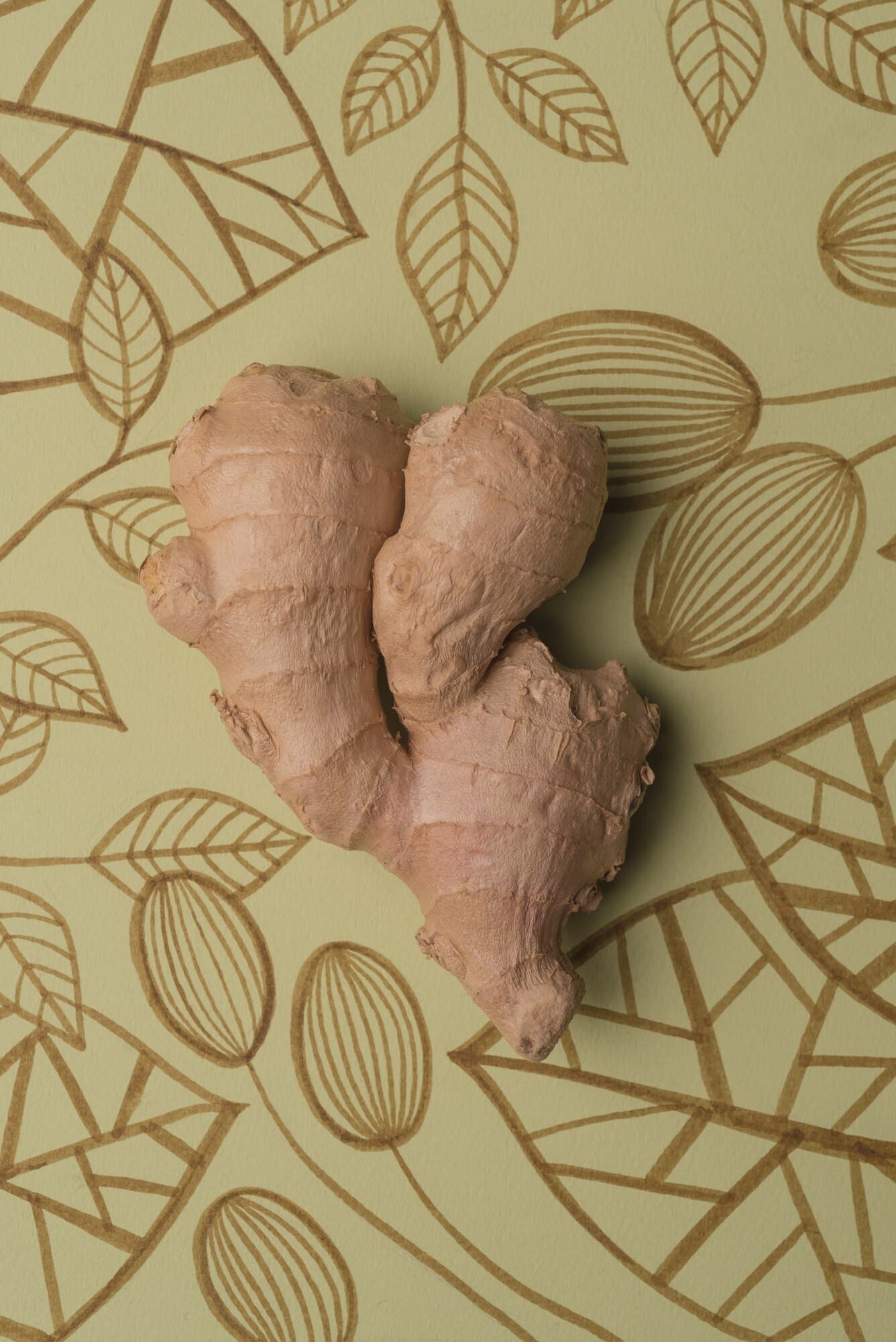 Southern Kaduna farm zone supplying premium ginger